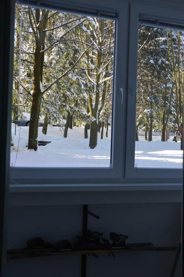 Apartament Izerski Klimat Świeradów-Zdrój Extérieur photo